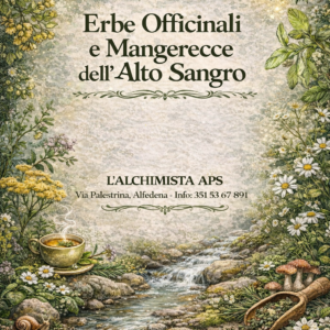 Erbe officinali e mangerecce dell’Alto Sangro