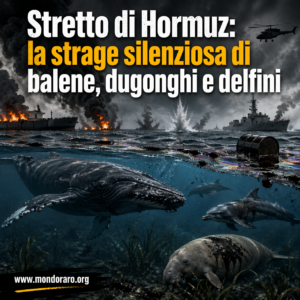 Stretto di Hormuz: la strage silenziosa di balene, dugonghi e delfini
