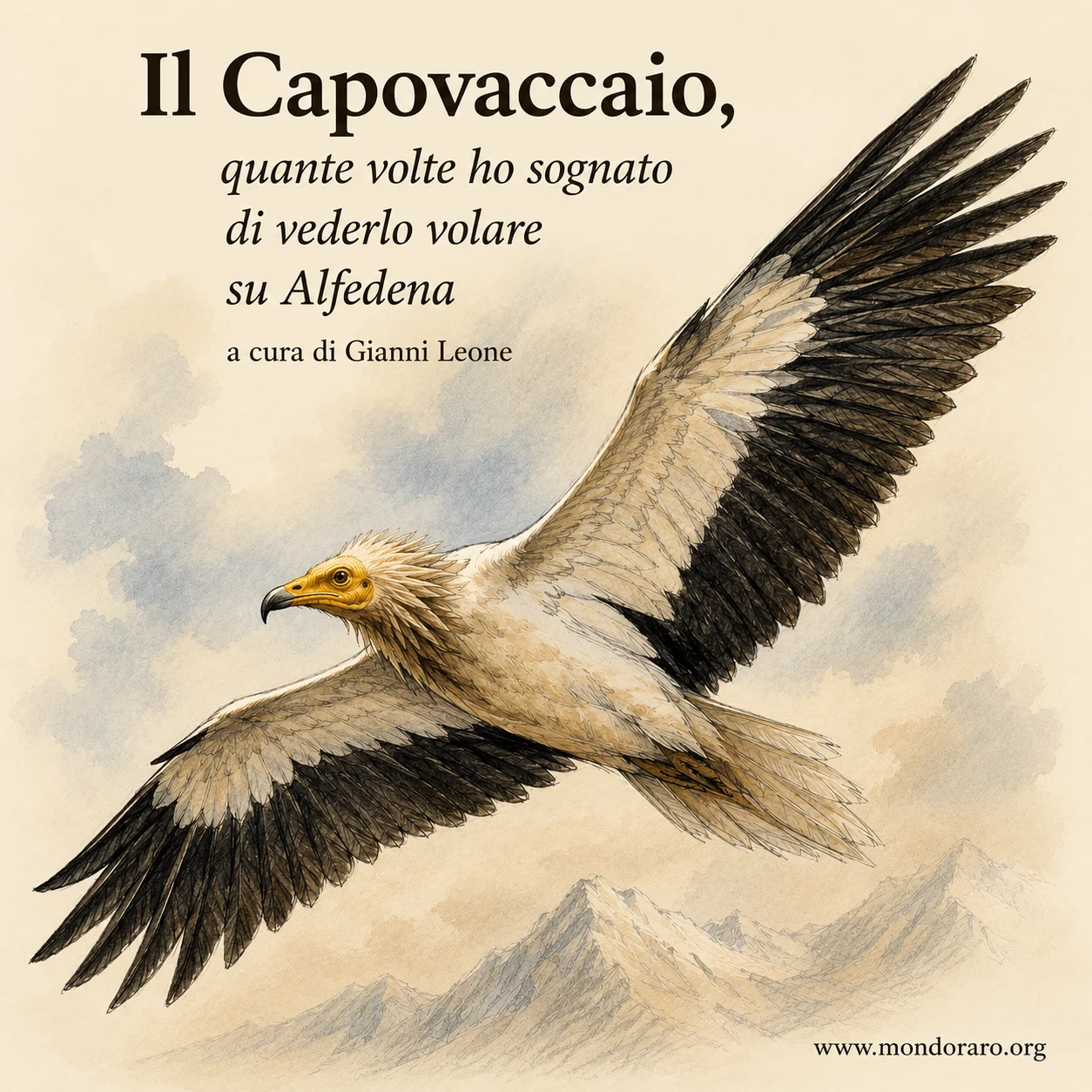 Il Capovaccaio, quante volte ho sognato di vederlo volare su Alfedena