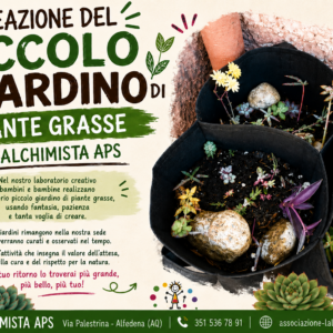 PICCOLI GIARDINI DI PIANTE GRASSE: Creare, curare, osservare… e crescere insieme alla natura